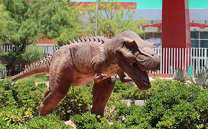 Imagen de recompensa