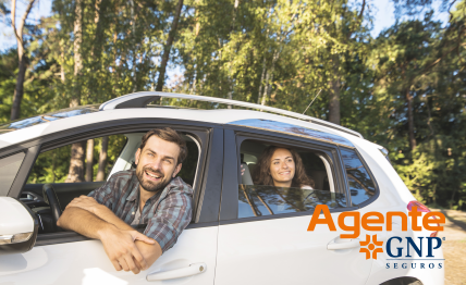 Imagen de recompensa