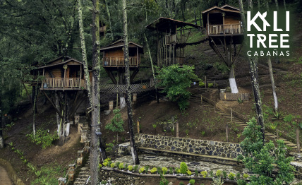 Imagen de recompensa