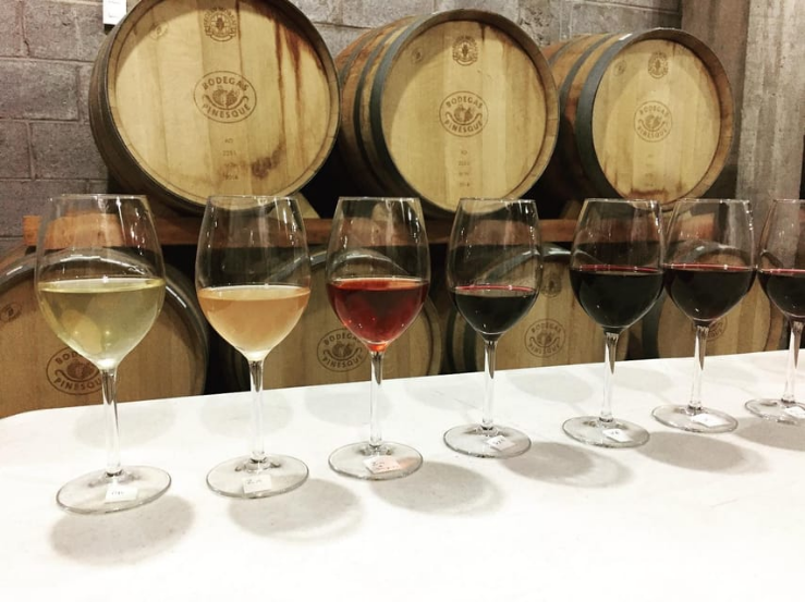 Chihuahua: Experiencia Elemental del Vino con Cata y Recorrido