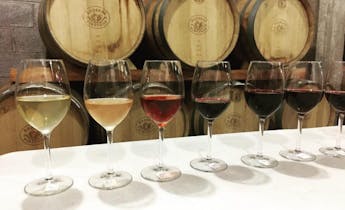Chihuahua: Experiencia Elemental del Vino con Cata y Recorrido