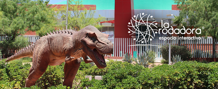 La Rodadora, Espacio Interactivo.