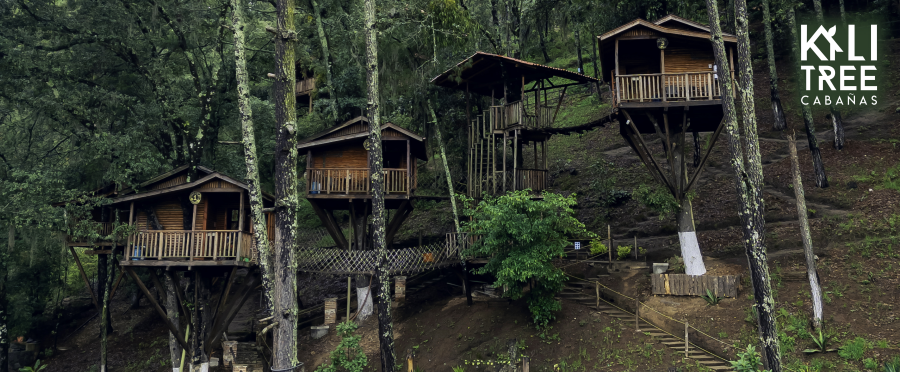 KALI TREE CABAÑAS